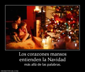 Los corazones mansos entienden la Navidad más allá de las palabras.