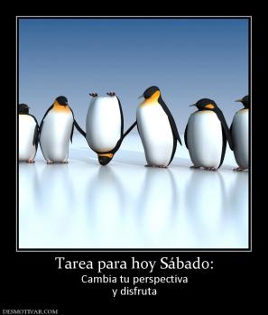 Tarea para hoy Sábado: Cambia tu perspectiva y disfruta