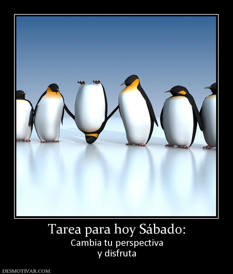 Tarea para hoy Sábado: Cambia tu perspectiva y disfruta
