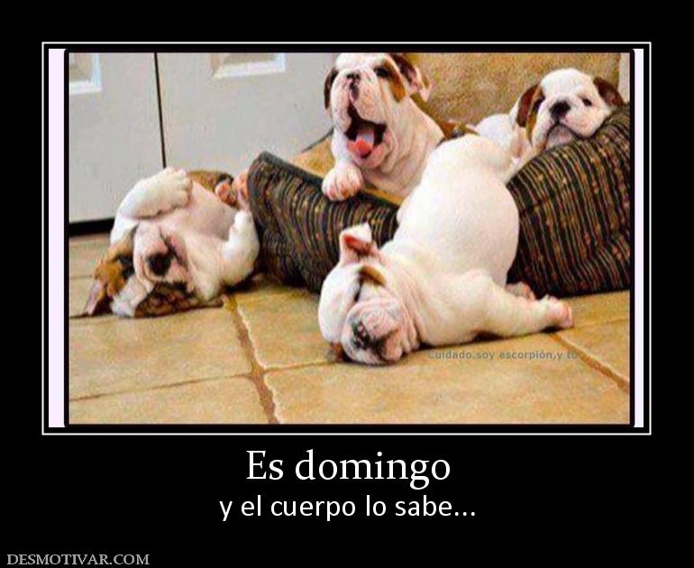 Es domingo y el cuerpo lo sabe...