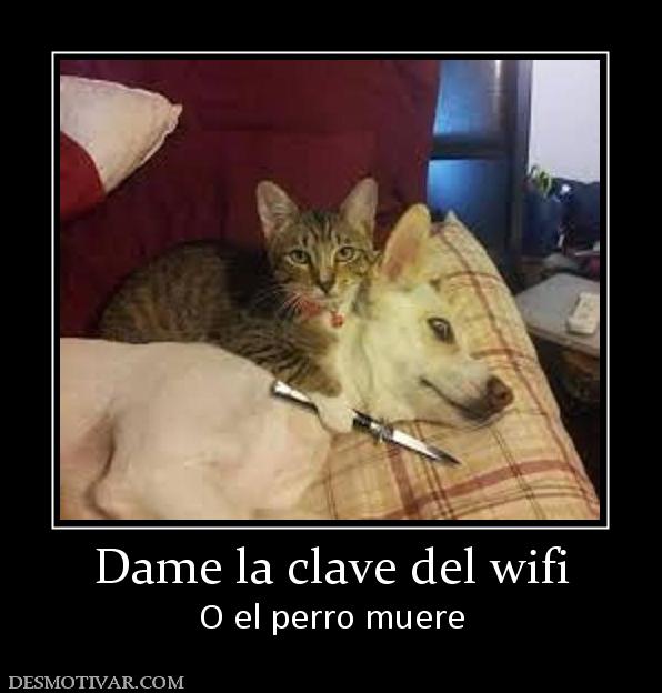 Dame la clave del wifi O el perro muere