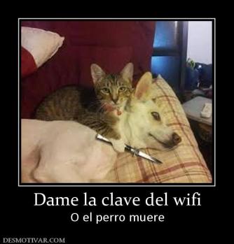 Dame la clave del wifi O el perro muere