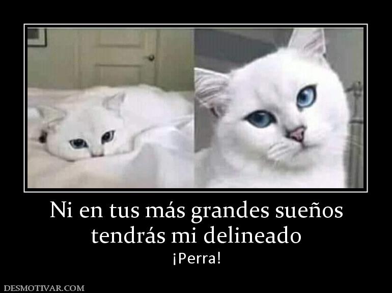 Ni en tus más grandes sueños tendrás mi delineado ¡Perra!