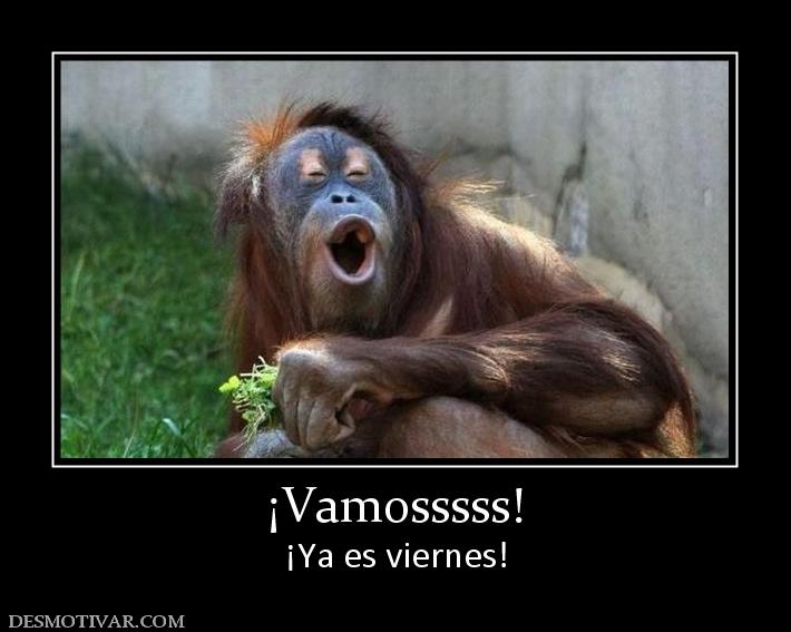 ¡Vamosssss! ¡Ya es viernes!