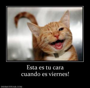 Esta es tu cara cuando es viernes!