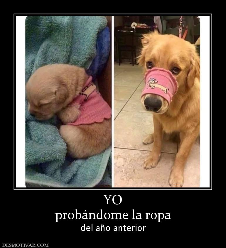 YO probándome la ropa del año anterior