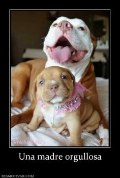 Una madre orgullosa