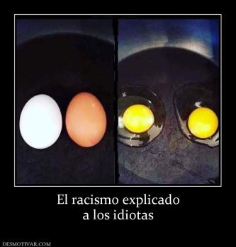 El racismo explicado a los idiotas
