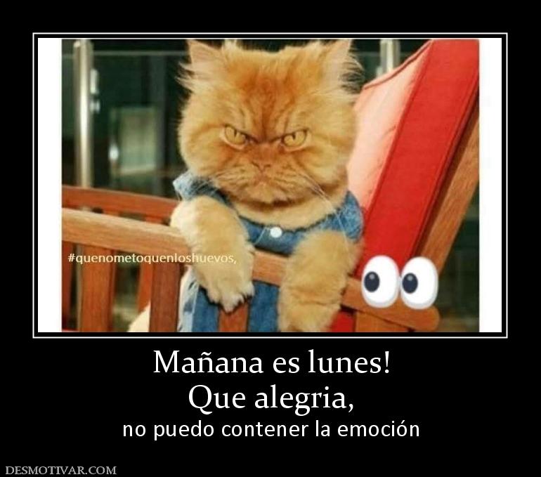 Mañana es lunes! Que alegria,  no puedo contener la emoción