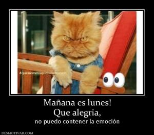 Mañana es lunes! Que alegria,  no puedo contener la emoción