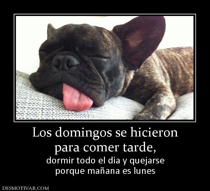 Los domingos se hicieron para comer tarde,  dormir todo el día y quejarse porque mañana es lunes