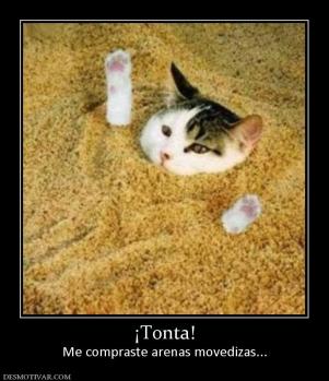¡Tonta! Me compraste arenas movedizas...