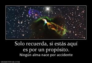 Solo recuerda, si estás aquí es por un propósito. Ningún alma nace por accidente