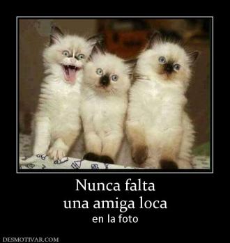 Nunca falta una amiga loca en la foto