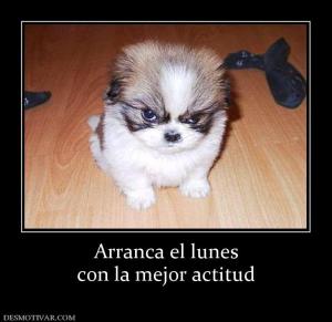 Arranca el lunes con la mejor actitud