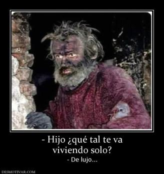 - Hijo ¿qué tal te va viviendo solo? - De lujo...