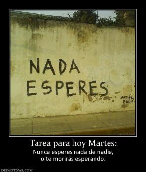 Tarea para hoy Martes: Nunca esperes nada de nadie, o te morirás esperando.