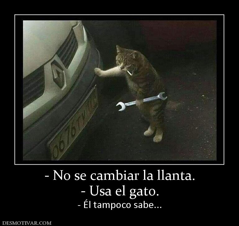- No se cambiar la llanta. - Usa el gato. - Él tampoco sabe...