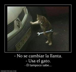 - No se cambiar la llanta. - Usa el gato. - Él tampoco sabe...
