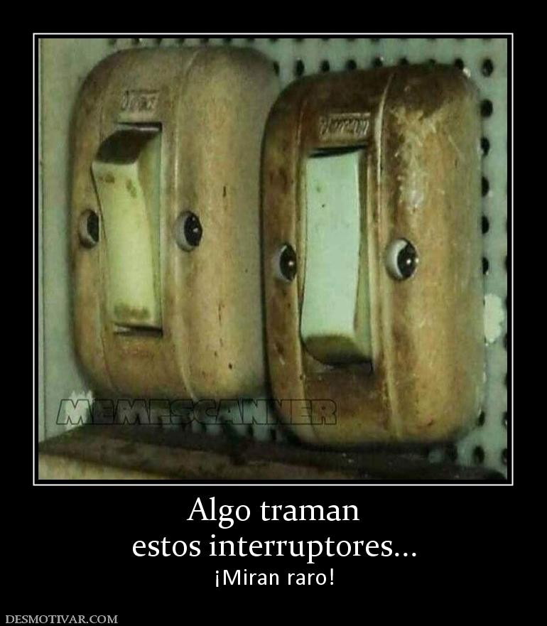 Algo traman estos interruptores... ¡Miran raro!