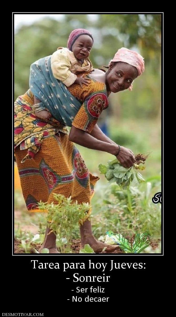 Tarea para hoy Jueves: - Sonreir - Ser feliz - No decaer