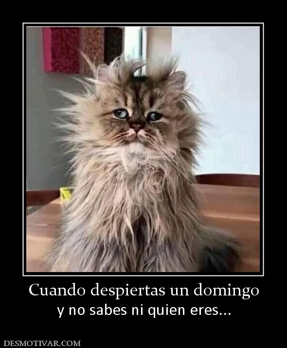 Cuando despiertas un domingo y no sabes ni quien eres...