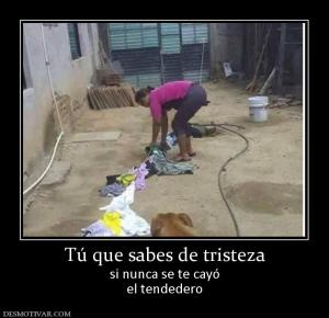 Tú que sabes de tristeza si nunca se te cayó el tendedero