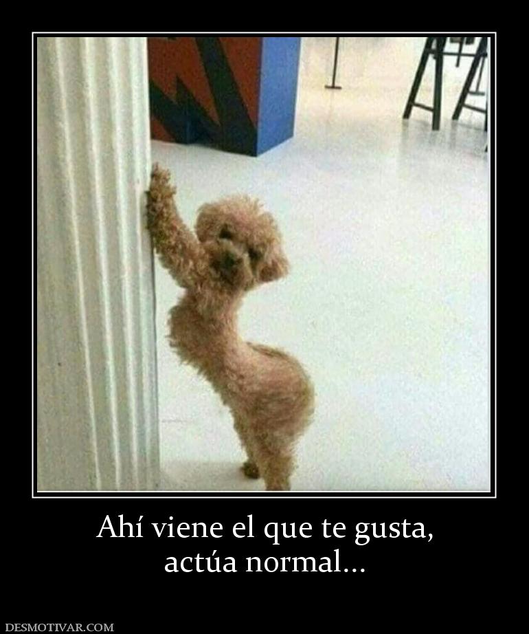 Ahí viene el que te gusta, actúa normal...