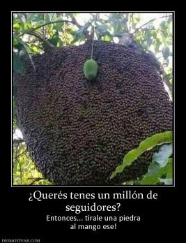 ¿Querés tenes un millón de seguidores? Entonces... tírale una piedra al mango ese!