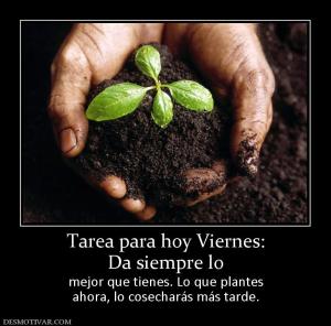 Tarea para hoy Viernes: Da siempre lo mejor que tienes. Lo que plantes ahora, lo cosecharás más tarde.