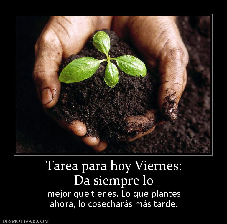 Tarea para hoy Viernes: Da siempre lo mejor que tienes. Lo que plantes ahora, lo cosecharás más tarde.