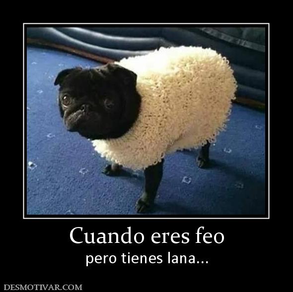 Cuando eres feo pero tienes lana...