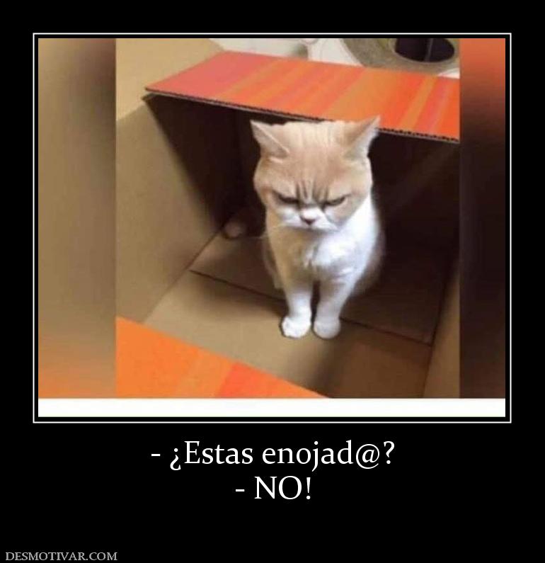 - ¿Estas enojad@? - NO!