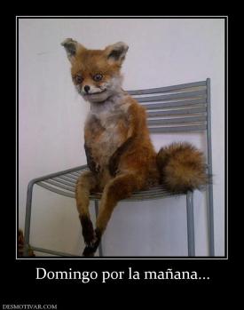 Domingo por la mañana...