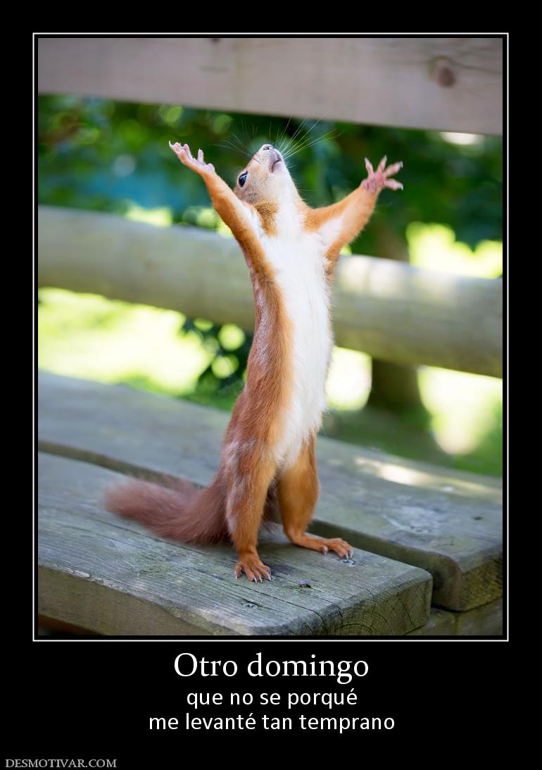 Otro domingo que no se porqué me levanté tan temprano