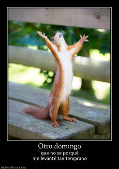 Otro domingo que no se porqué me levanté tan temprano