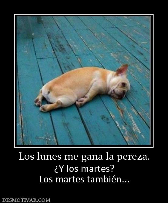 Los lunes me gana la pereza. ¿Y los martes? Los martes también...