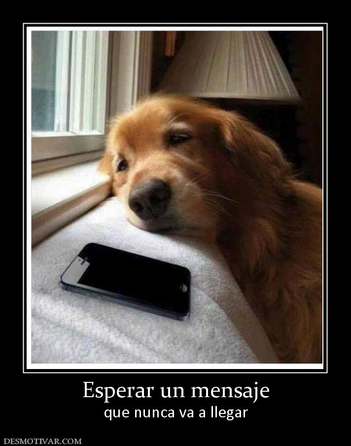 Esperar un mensaje que nunca va a llegar