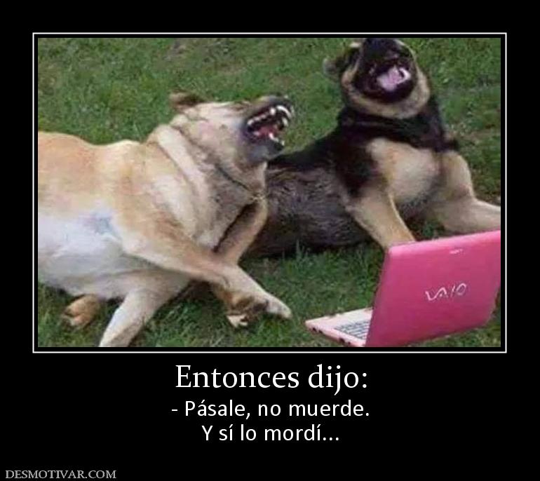 Entonces dijo: - Pásale, no muerde. Y sí lo mordí...