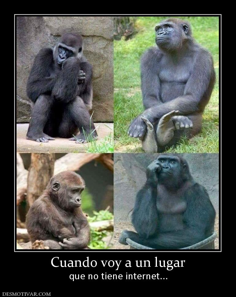 Cuando voy a un lugar que no tiene internet...