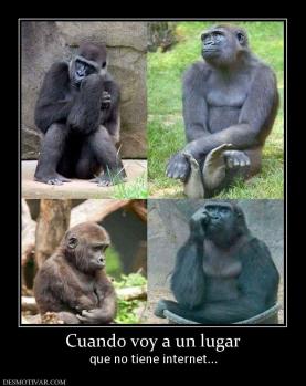 Cuando voy a un lugar que no tiene internet...