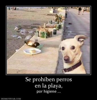 Se prohíben perros en la playa, por higiene ...