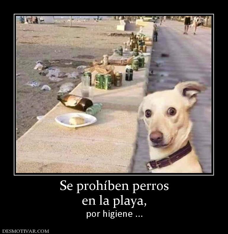 Se prohíben perros en la playa, por higiene ...