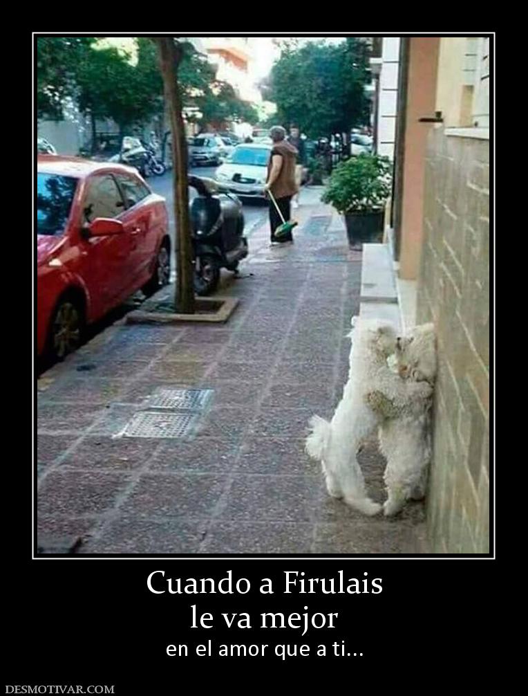 Cuando a Firulais le va mejor en el amor que a ti...