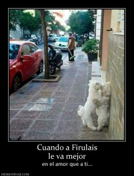 Cuando a Firulais le va mejor en el amor que a ti...