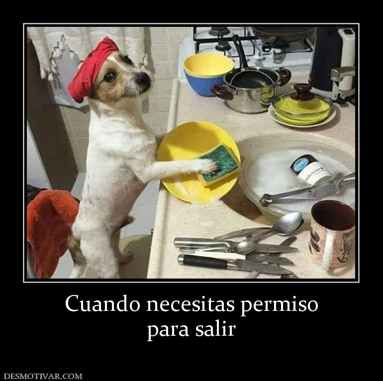 Cuando necesitas permiso para salir