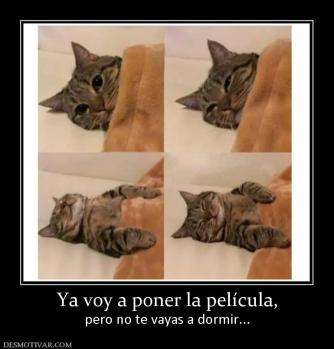 Ya voy a poner la película, pero no te vayas a dormir...