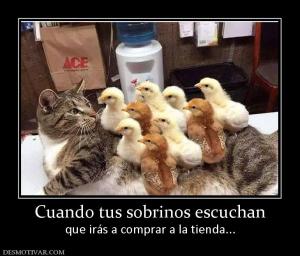 Cuando tus sobrinos escuchan que irás a comprar a la tienda...