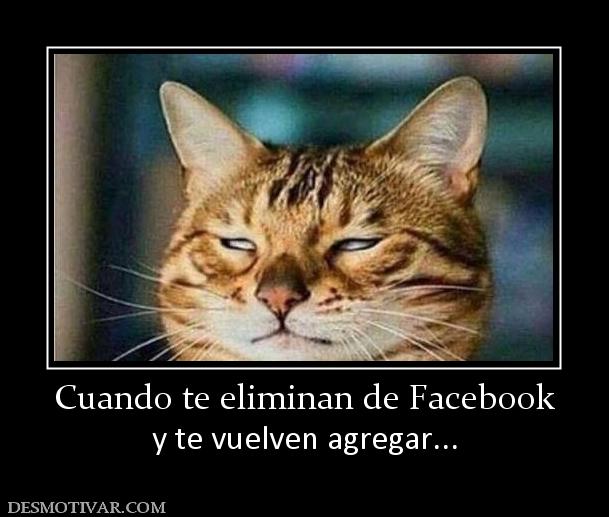 Cuando te eliminan de Facebook y te vuelven agregar...