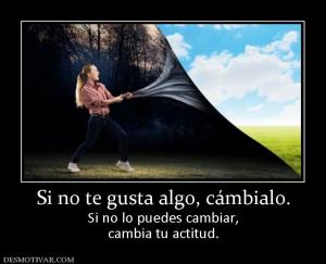 Si no te gusta algo, cámbialo. Si no lo puedes cambiar, cambia tu actitud.
